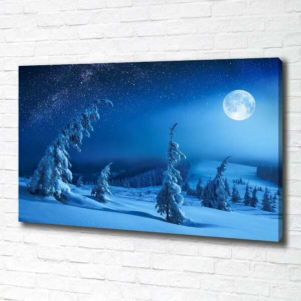 Canvas wall art Moonlight