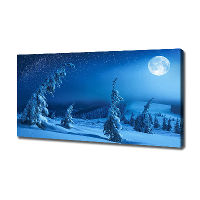 Canvas wall art Moonlight