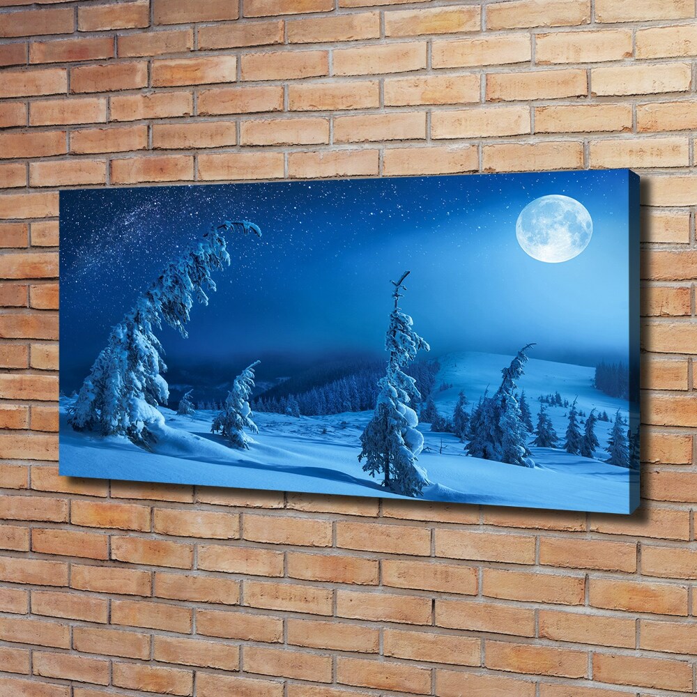 Canvas wall art Moonlight