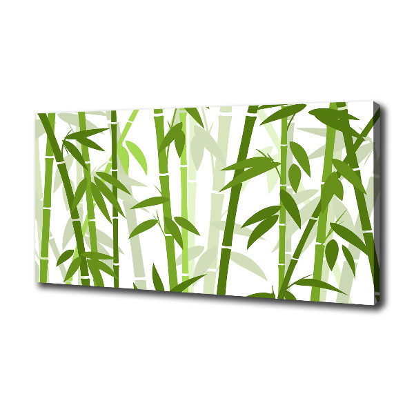 Bamboo