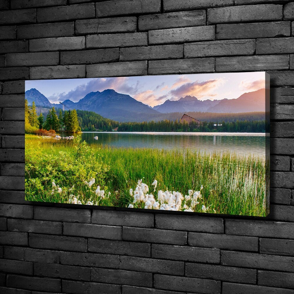 Canvas wall art Lake in the mountains