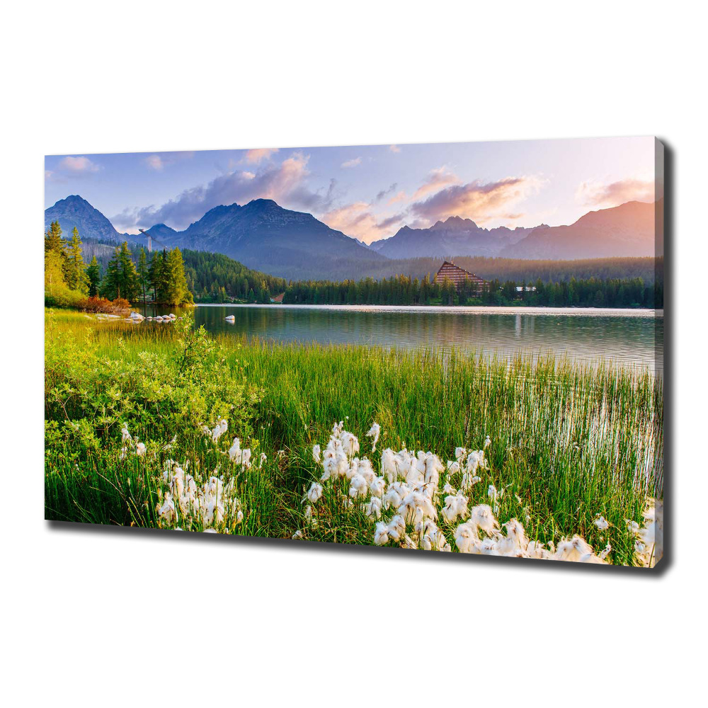 Canvas wall art Lake in the mountains