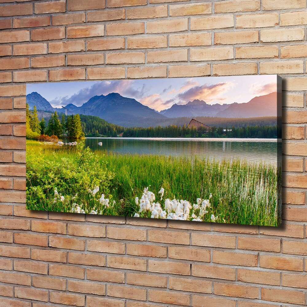 Canvas wall art Lake in the mountains