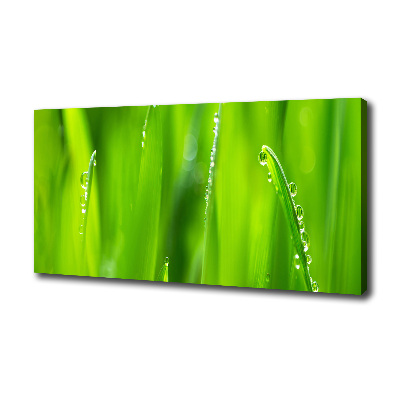 Canvas wall art Young oats