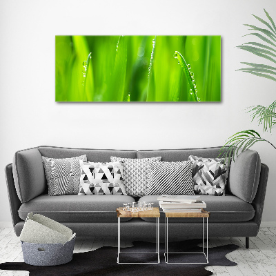 Canvas wall art Young oats