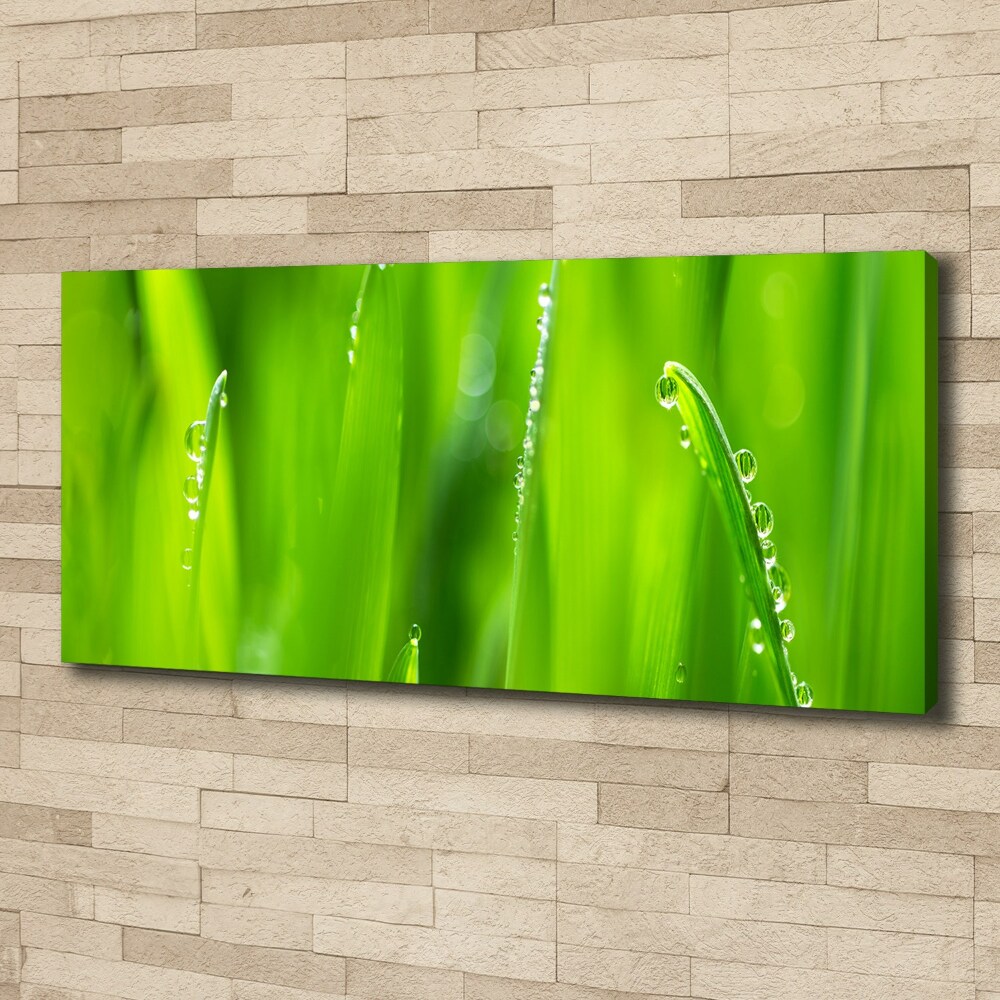 Canvas wall art Young oats