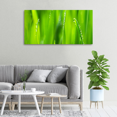 Canvas wall art Young oats