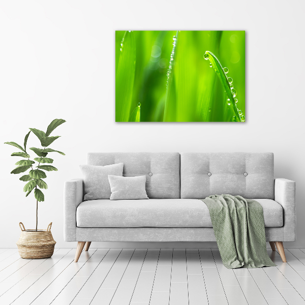 Canvas wall art Young oats