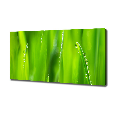 Canvas wall art Young oats