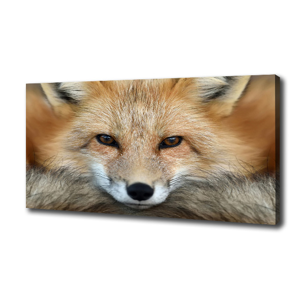 Canvas wall art Fox