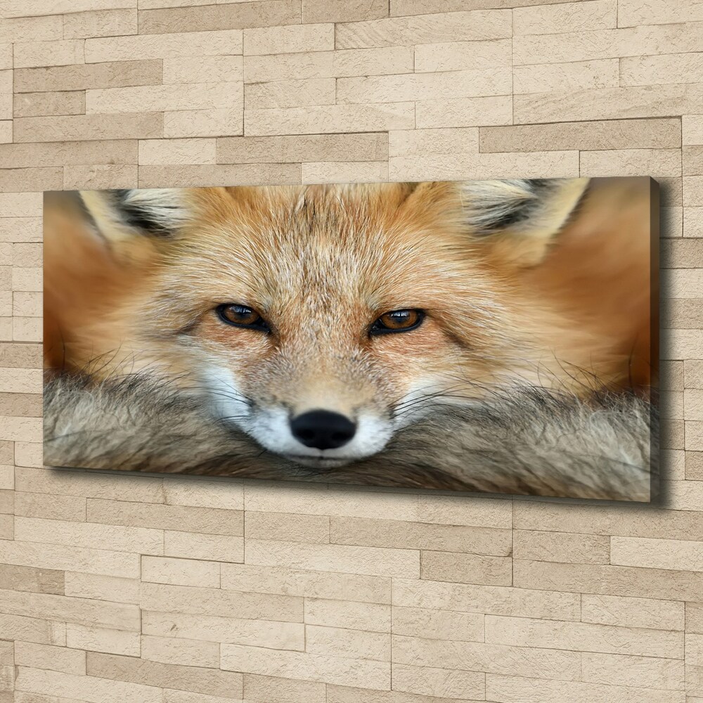 Canvas wall art Fox