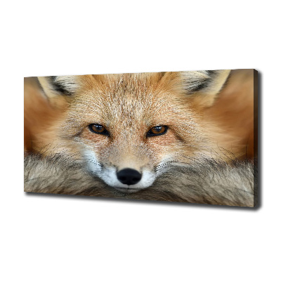 Canvas wall art Fox