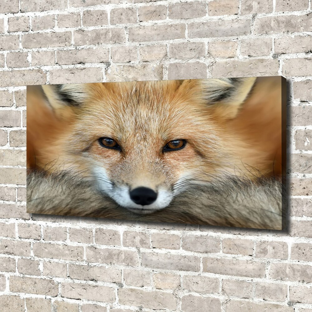 Canvas wall art Fox