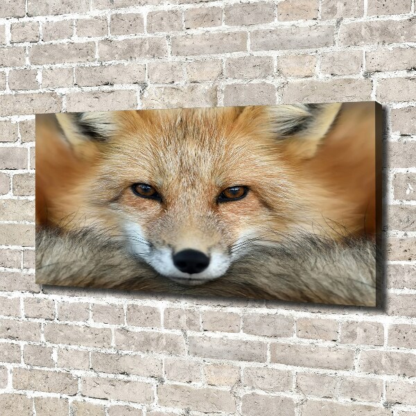 Canvas wall art Fox