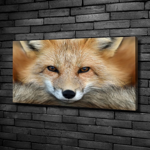 Canvas wall art Fox