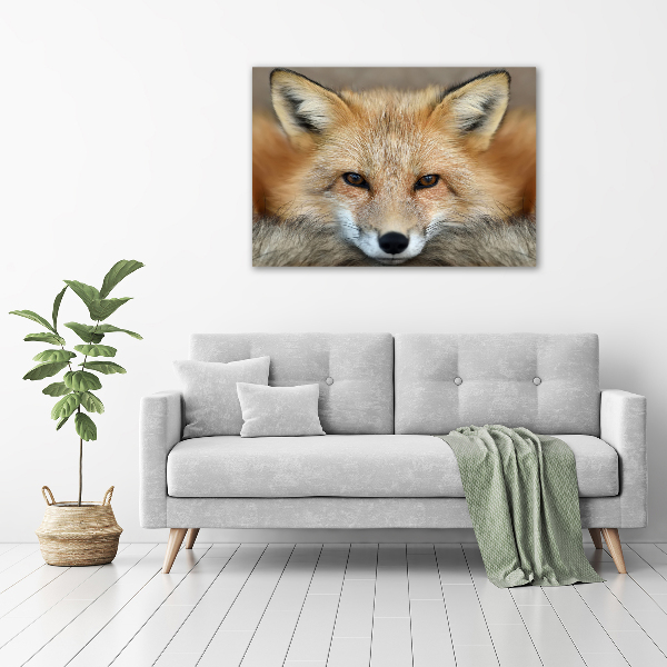 Canvas wall art Fox