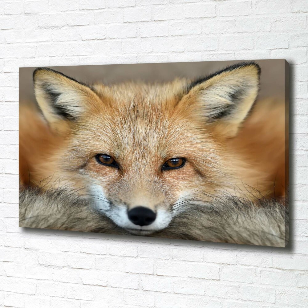 Canvas wall art Fox