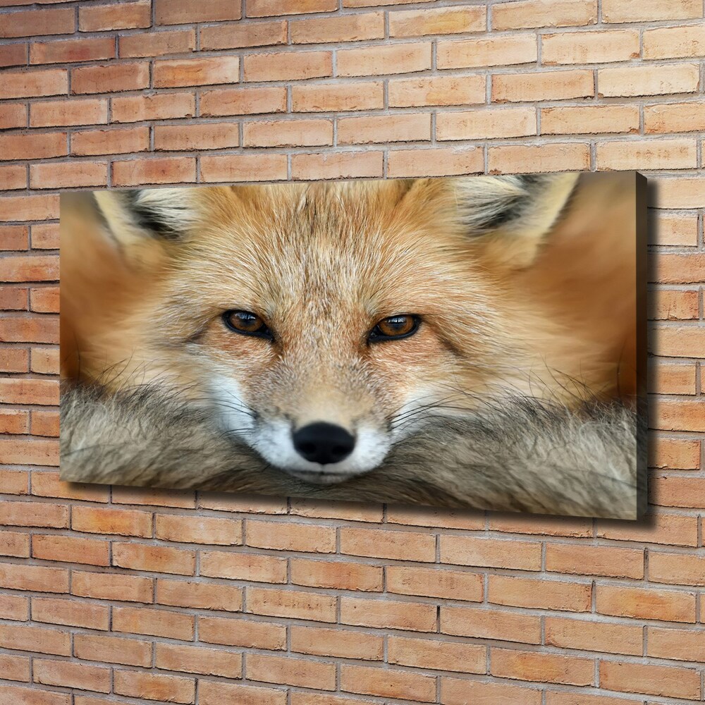 Canvas wall art Fox