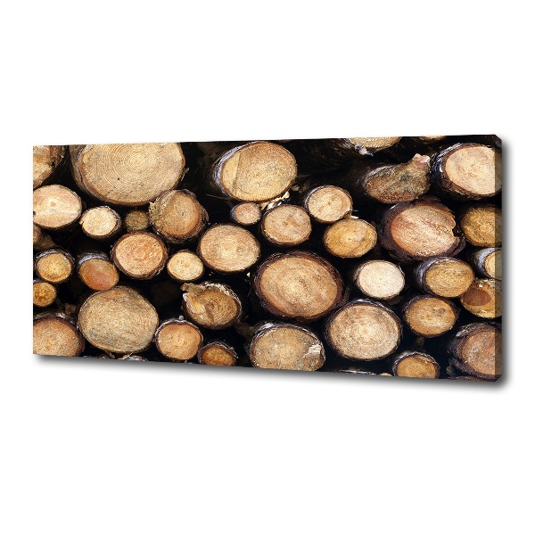 Canvas wall art Logs