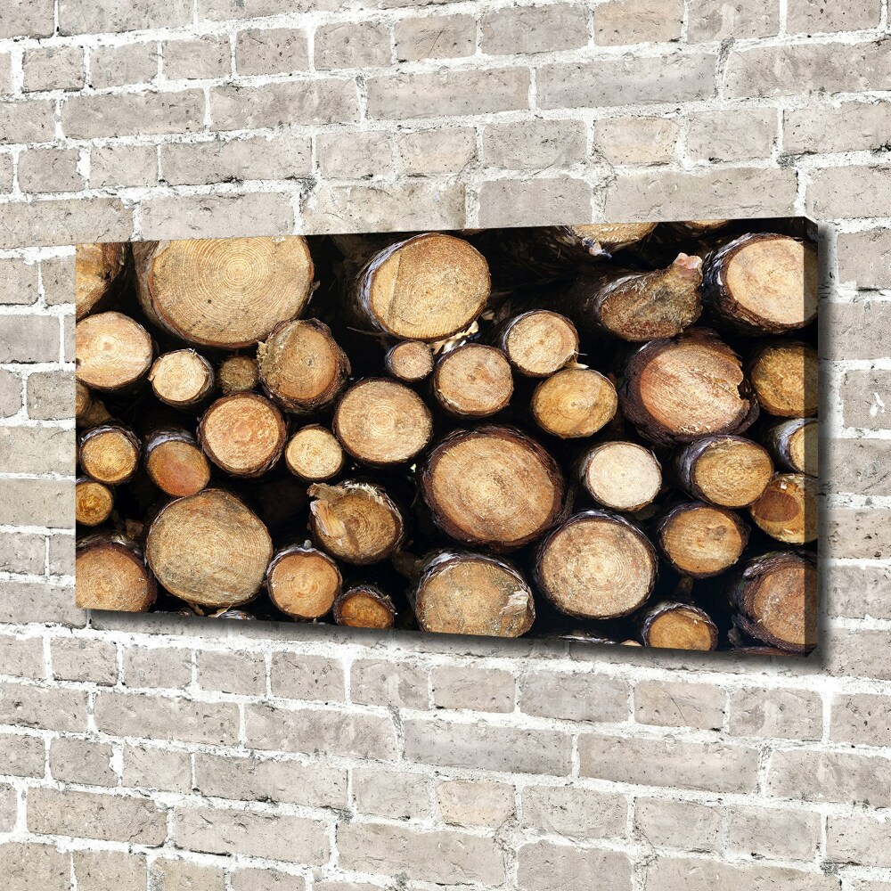 Canvas wall art Logs