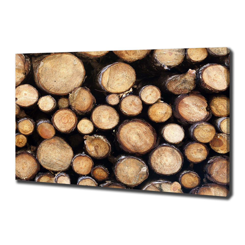 Canvas wall art Logs