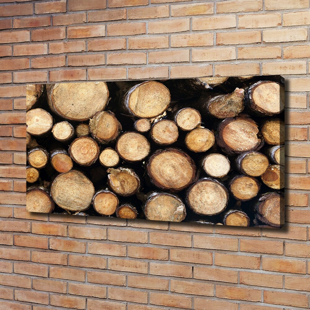 Canvas wall art Logs