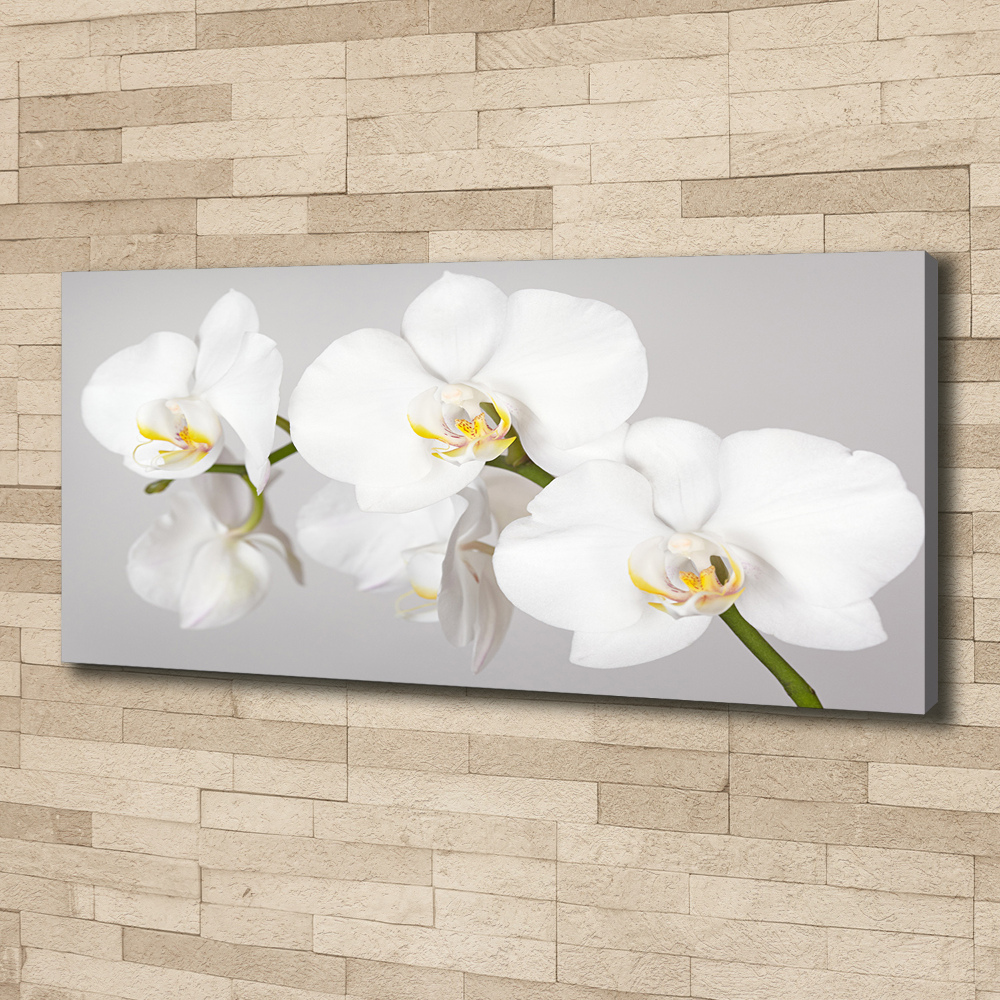 Canvas wall art Orchid