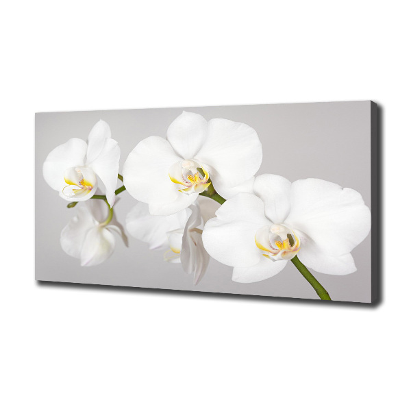 Canvas wall art Orchid