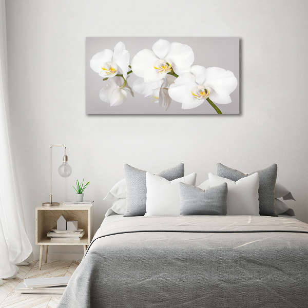 Canvas wall art Orchid