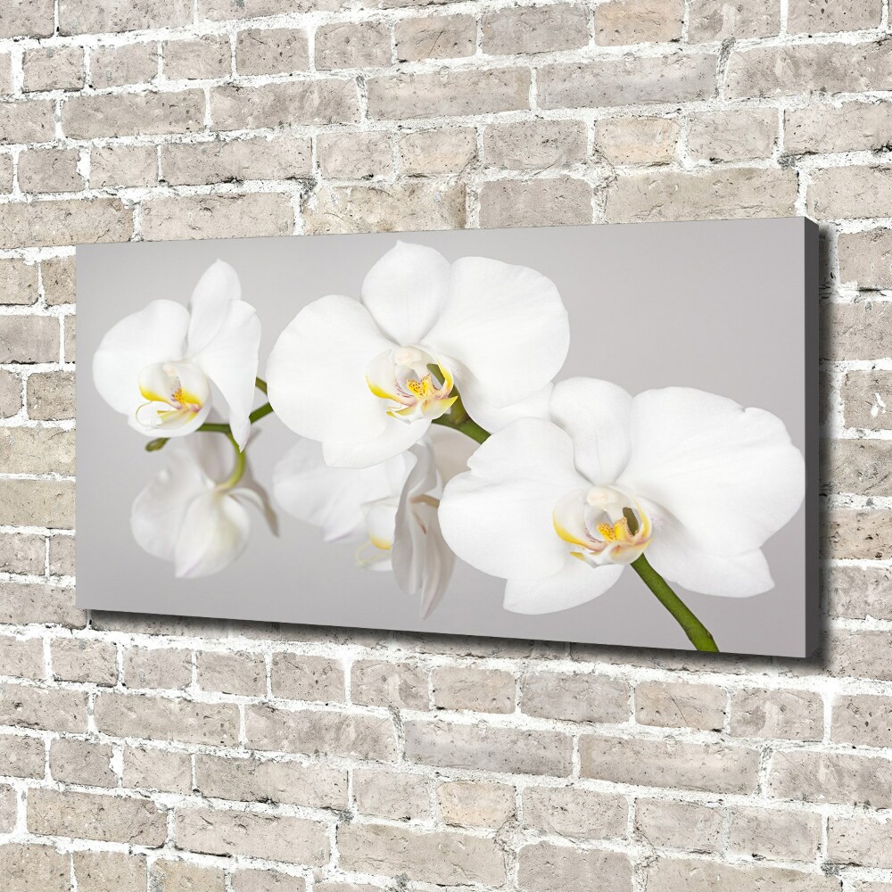 Canvas wall art Orchid