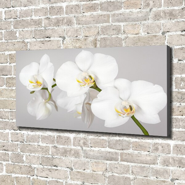 Canvas wall art Orchid