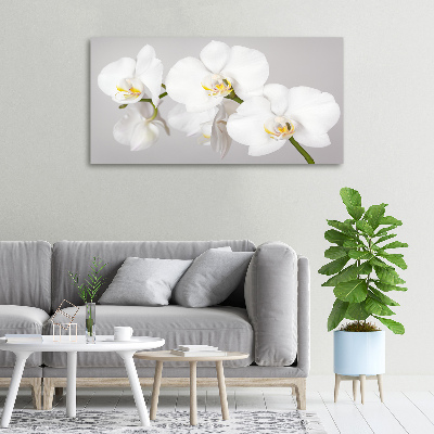 Canvas wall art Orchid