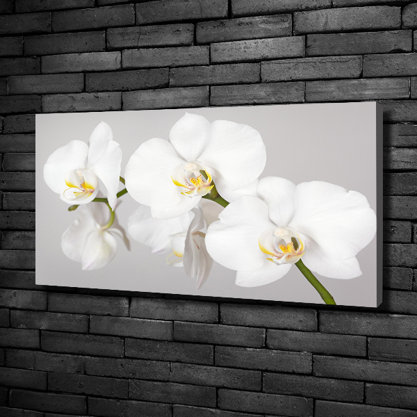 Canvas wall art Orchid