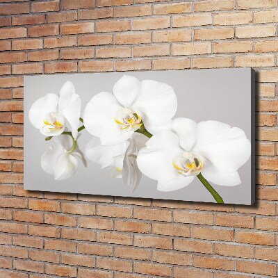 Canvas wall art Orchid