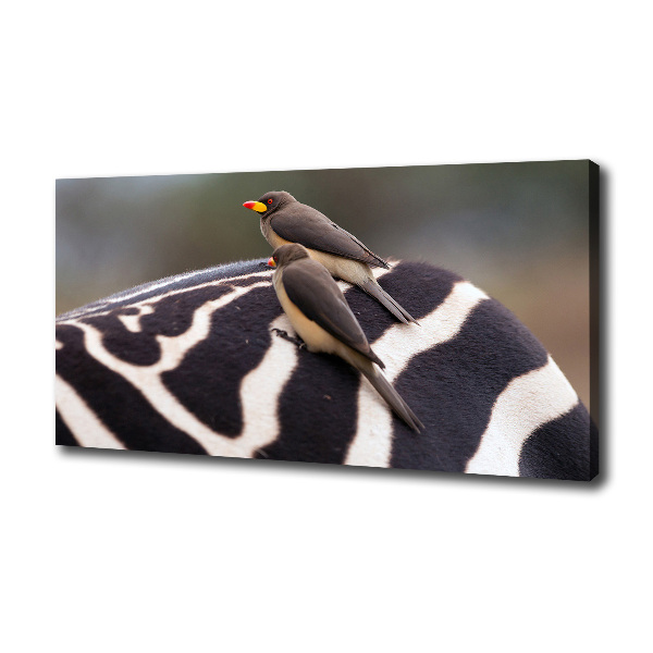 Canvas wall art Birds and zebra