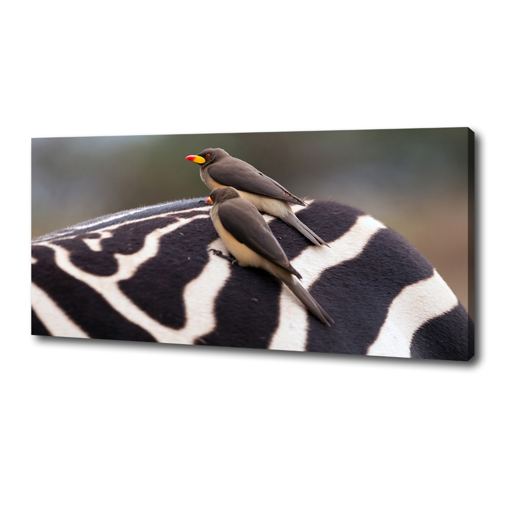 Canvas wall art Birds and zebra