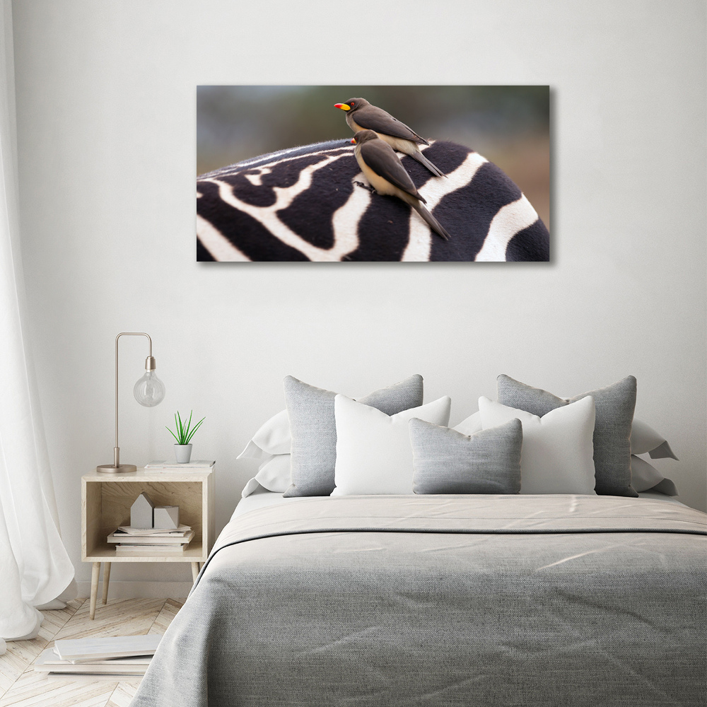 Canvas wall art Birds and zebra