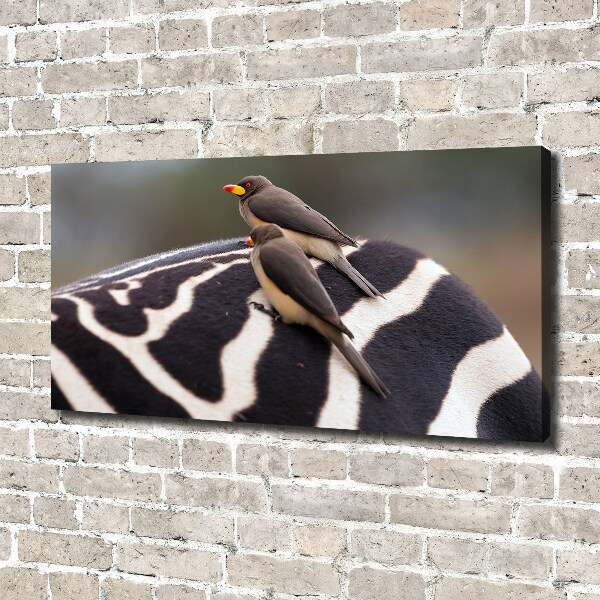 Canvas wall art Birds and zebra