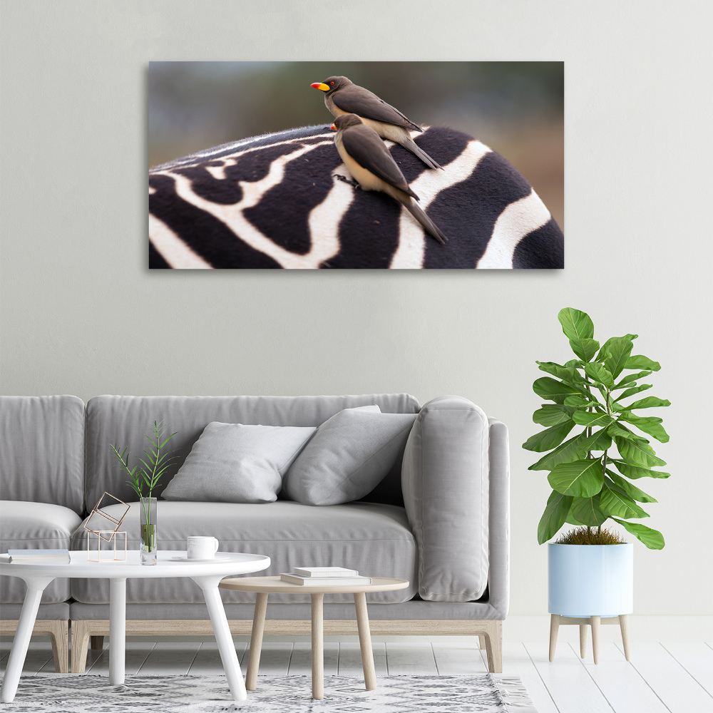 Canvas wall art Birds and zebra