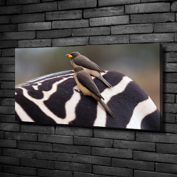 Canvas wall art Birds and zebra