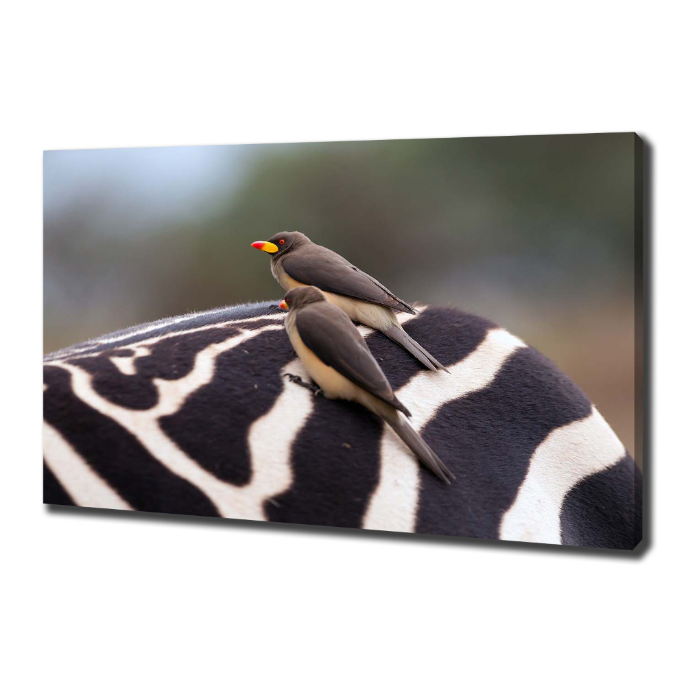 Canvas wall art Birds and zebra