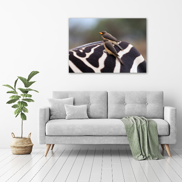 Canvas wall art Birds and zebra