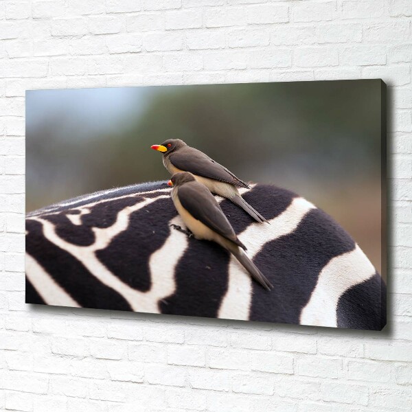 Canvas wall art Birds and zebra