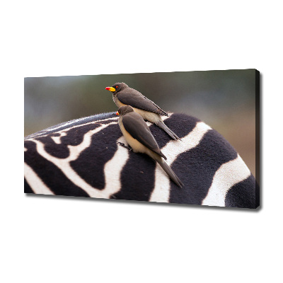 Canvas wall art Birds and zebra