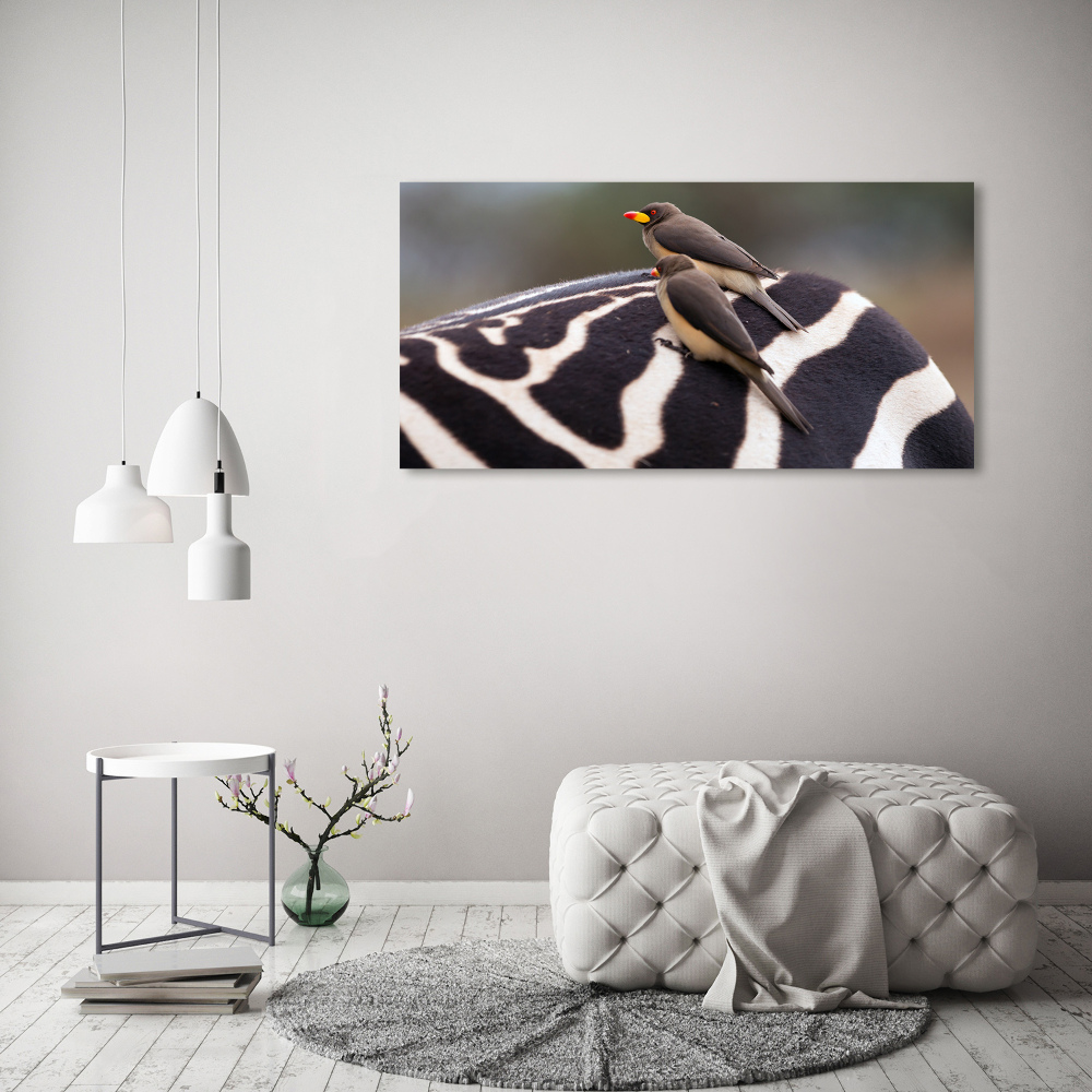 Canvas wall art Birds and zebra