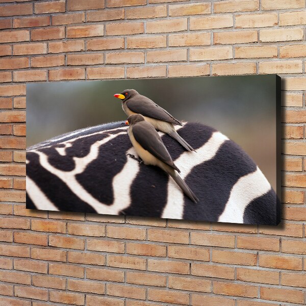 Canvas wall art Birds and zebra