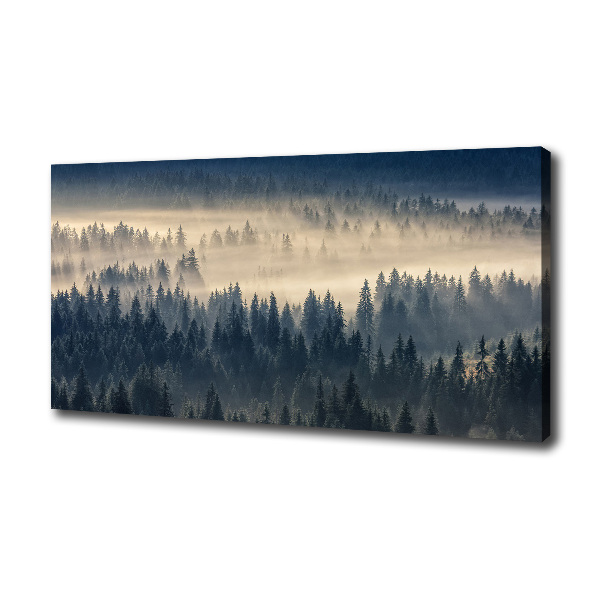 Fog over the forest