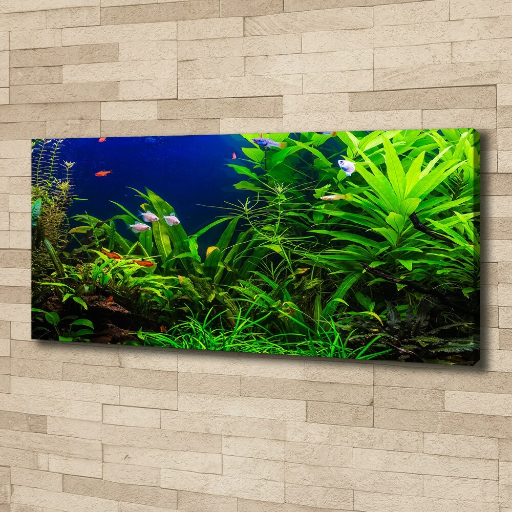 Canvas wall art Fish in the aquarium