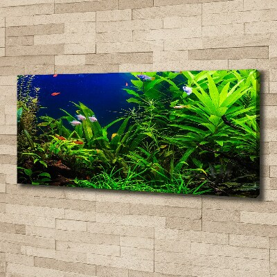 Canvas wall art Fish in the aquarium