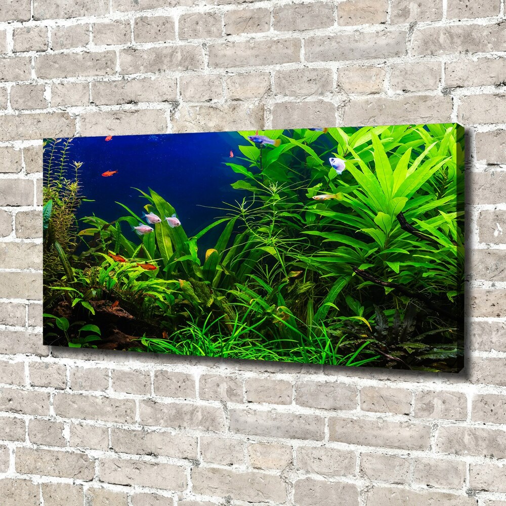 Canvas wall art Fish in the aquarium